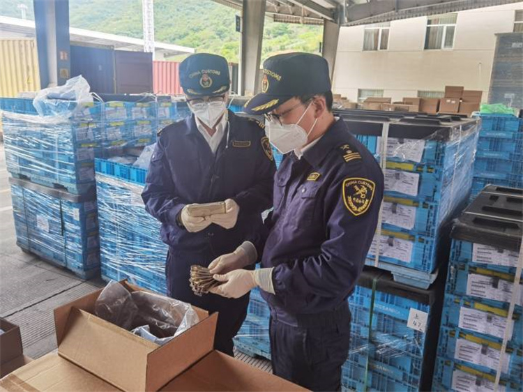 Промовисати спољну трговину да би се обезбедила стабилност и побољшао квалитет Нингбо царина је издала 20 „основних“ мера